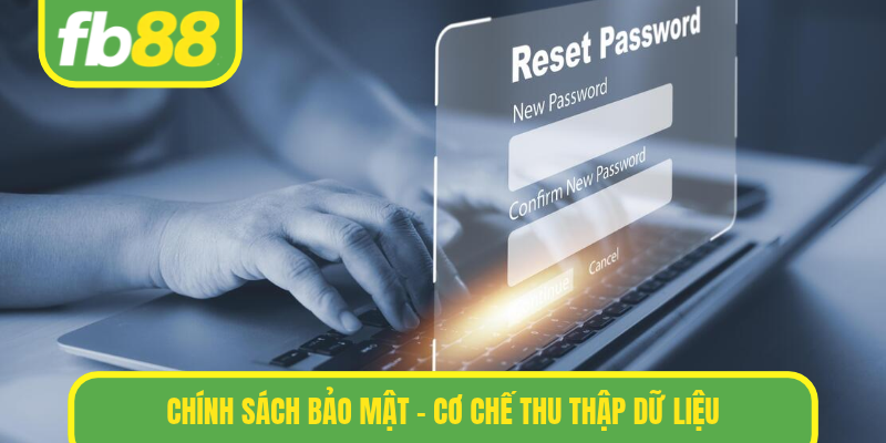 Chính sách bảo mật - Cơ chế thu thập dữ liệu