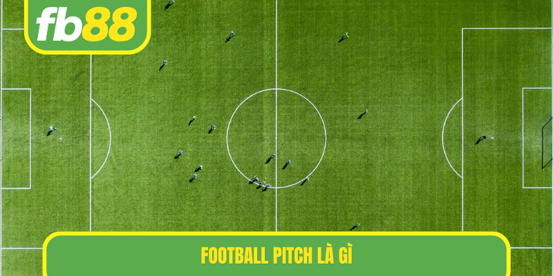 football pitch là gì