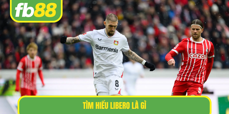 Đặc điểm cần có ở Libero là gì
