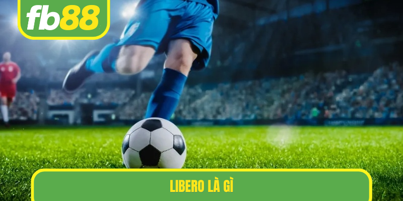 libero là gì