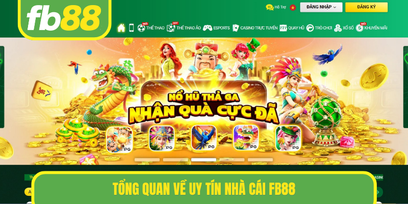 Tổng quan về uy tín nhà cái FB88